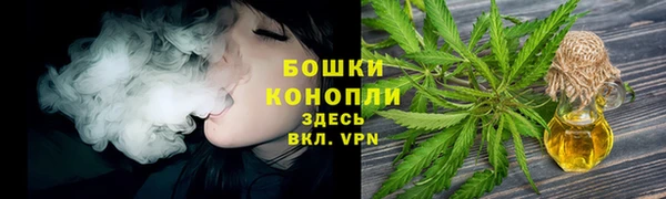 амф Богородицк